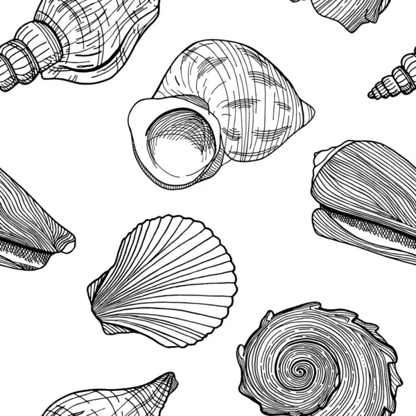 Black White Seamless Pattern Seashells Hand Drawn Outline Vector Illustration — Stock Vector