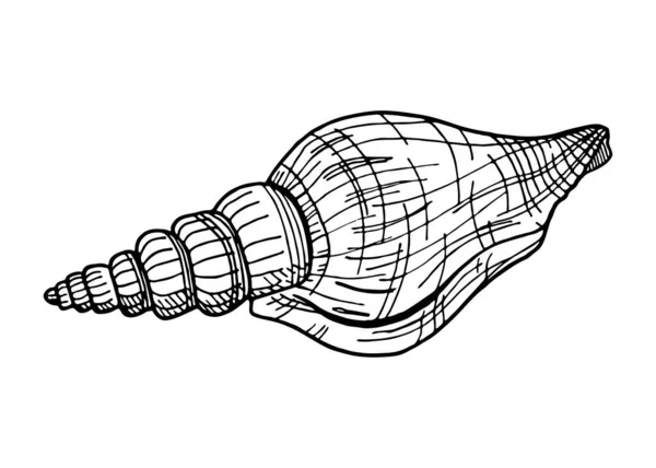 Zwart Wit Spiraalvormige Schelp Handgetekende Contourvector Illustratie Van Onderwaterschelp Nautisch — Stockvector