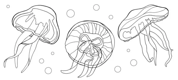 Conjunto Medusas Ilustración Vectorial Dibujada Mano Blanco Negro Medusa Con — Vector de stock