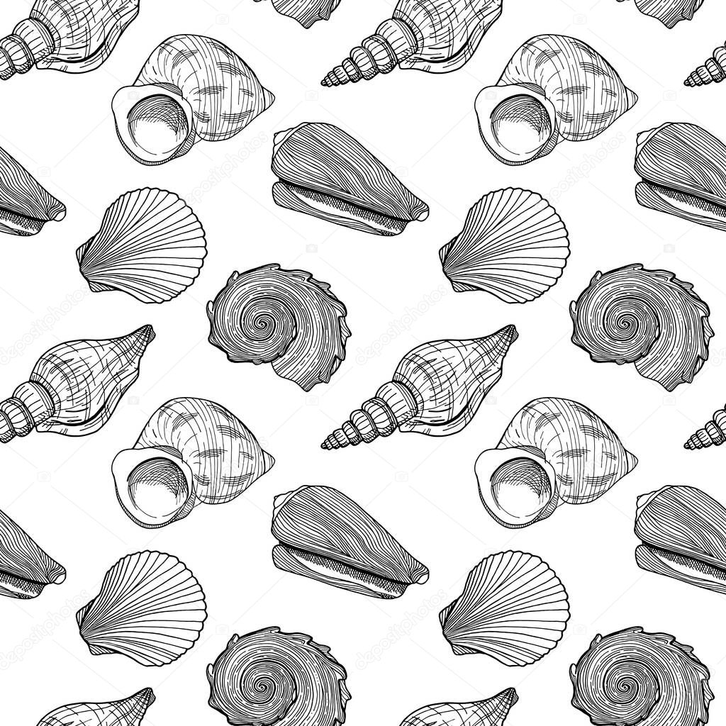 Black and white seamless pattern with seashells. Hand drawn outline vector illustration of underwater shells. Nautical background. Marine elements on white for cards, decoration, textile, print