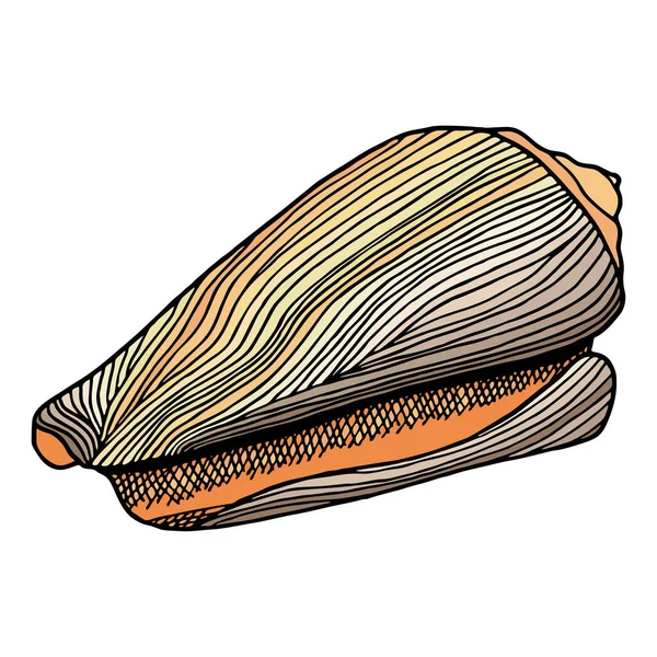 Beżowa Muszelka Ręcznie Rysowany Wektor Ilustracji Podwodnej Skorupy Element Żeglarski — Wektor stockowy