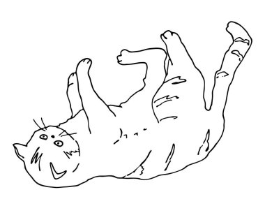 Taslak kedi oyunu. El çizimi vektör çizimi. Boyama kitabı sayfası, dekorasyon, kartlar, afişler, veterinerler, hayvan dükkanları, kataloglar, baskılar için komik pozlar veren sevimli kedi yavrusu..