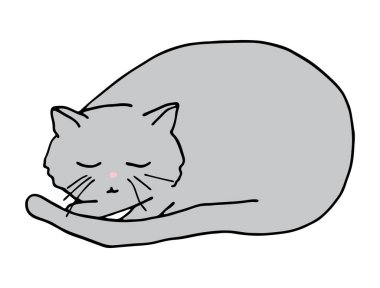Top içinde uyuyan kedi tasviri. El çizimi karikatür renkli vektör çizimi. Dekorasyon için sevimli gri kedi yavrusu, kartlar, veteriner, katareri, evcil hayvan dükkanı, afişler,.