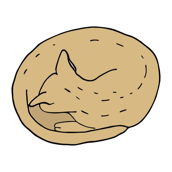 Översiktlig katt sover i boll. Handritad färgad kontur vektor illustration. Söt brun kattunge för dekoration, kort, banderoller, djuraffär, mönster, tryck. — Stock vektor