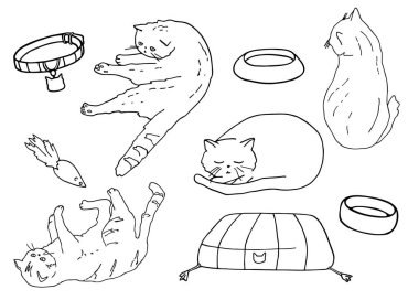 Malzeme seti olan kedilerin taslağı. El çizimi vektör çizimi. Evcil hayvan odası, kase, oyuncak, tasma ve kedi yavruları boyama sayfası, süsleme, pankart, baskı, kateteriye, veterinerlik, hayvan dükkanı.