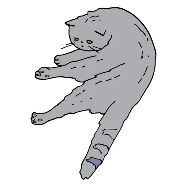 轮廓猫撒谎 手绘彩色等高线矢量图解 可爱的灰色小猫 姿势有趣 可为书页 宠物店 印刷品配色 — 图库矢量图片