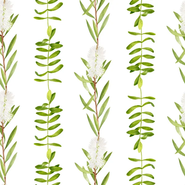 Akvarell Träd Lämnar Sömlös Mönster Handritad Illustration Melaleuca Grön Medicinalväxt — Stockfoto