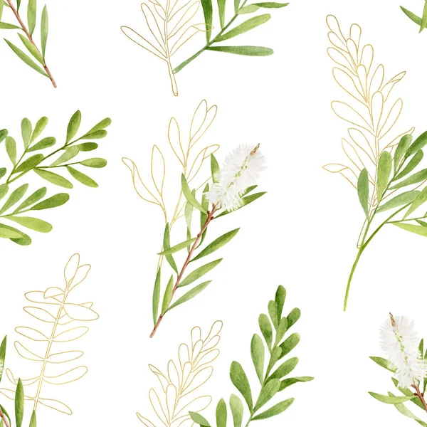 金色の輪郭のシームレスなパターンを持つ水彩茶の木の葉。メラルーカの手描きイラスト。白い背景に孤立した緑の植物。化粧品、パッケージ、繊維、カード、装飾のためのハーブ. — ストック写真