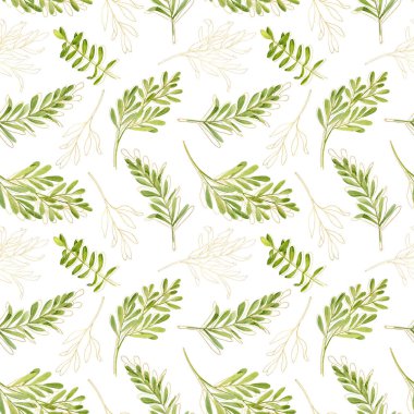 Altın hatları olan suluboya çay ağacı yaprakları. Melaleuca 'nın el çizimi. Yeşil bitki beyaz arka planda izole edilmiş. Kozmetik, paket, tekstil, kart, dekorasyon için bitki