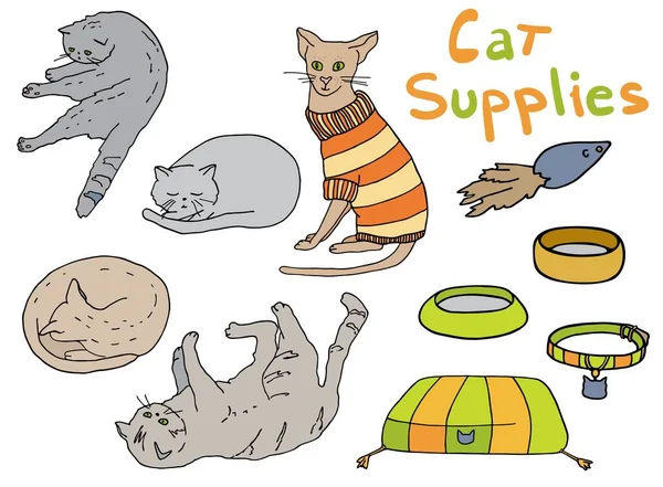 cattery supplies
