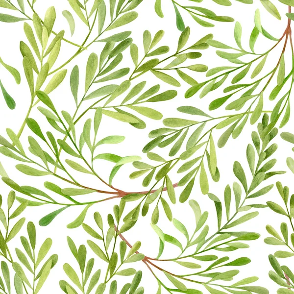 水彩茶の木はシームレスなパターンを残します メラルーカの手描きイラスト 白い背景に隔離された緑の薬用植物 化粧品 パッケージ カード 装飾用ハーブ — ストック写真