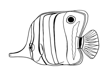 Copperband Butterflyfish. Outline vector Chelmon rostratus fish. Hand drawn beaked coralfish isolated on white background. Illustration for kids, coloring book, logo, design, decoration. clipart