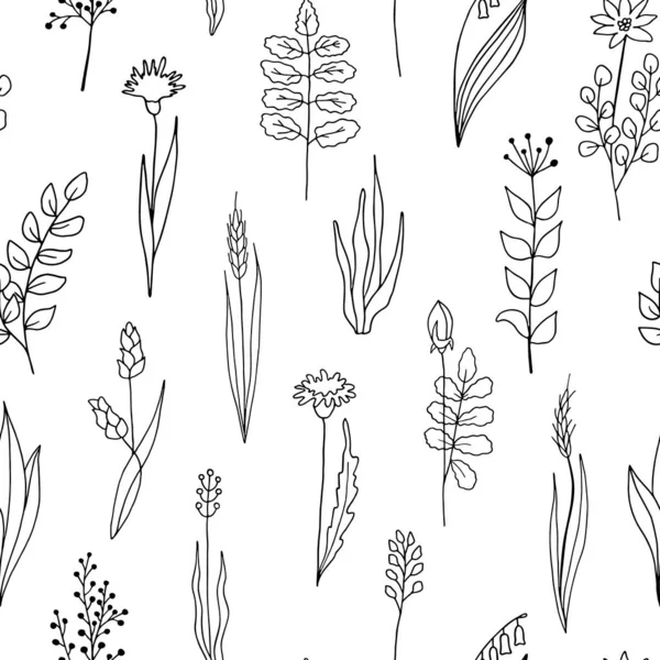 Padrão sem costura vetorial floral. Plantas esboço desenhado à mão e flores isoladas sobre fundo branco. Ilustração para papel de parede, têxtil, embrulho, cartão, decoração . —  Vetores de Stock