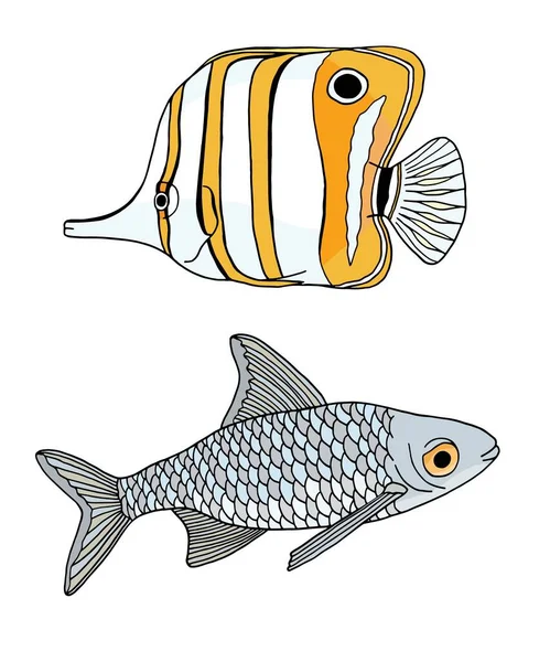 Tropisk fisk och flodfisk. Kopparband Butterflyfish och vanlig karp. Vektor Chelmon rostratus fisk. Handritad gul näbbad korall och carpio isolerad på vit bakgrund för barn, logotyp, design. — Stock vektor
