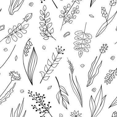 Çiçeksel vektör pürüzsüz desen. El çizimi karalama bitkileri ve çiçekler beyaz arka planda izole edilmiş. Duvar kağıdı, tekstil, ambalaj, kart, dekorasyon