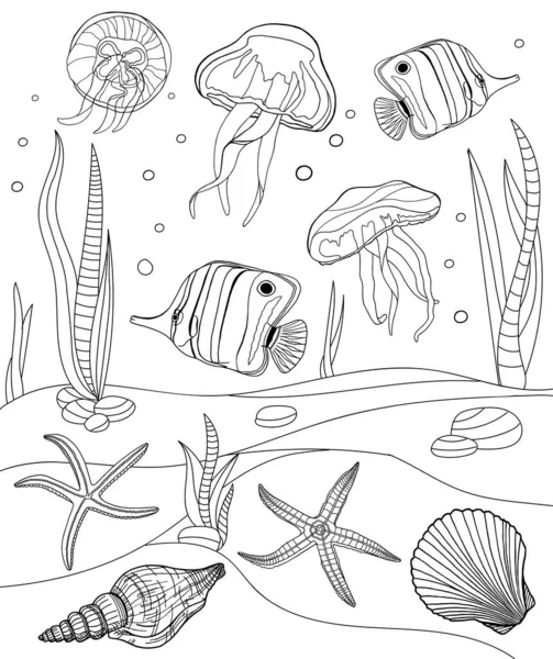 Окраска Страниц Тропические Рыбы Ракушки Медузы Векторные Иллюстрации Морской Звезды — стоковый вектор