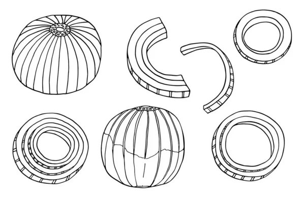 Umriss Zwiebelvektor Illustration Set Handgezeichnete Schwarze Und Weiße Zwiebeln Ringe — Stockvektor