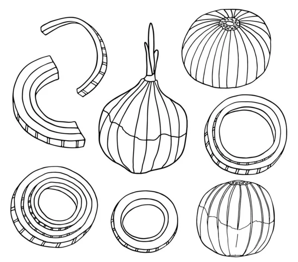 Umriss Zwiebelvektor Illustration Set Handgezeichnete Schwarze Und Weiße Zwiebeln Ringe — Stockvektor