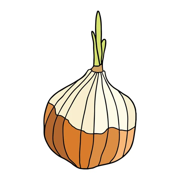 Cute Onion Vector Illustration Bolbo Desenho Animado Desenhado Mão Cebola — Vetor de Stock