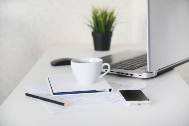    busness Maliye meslek