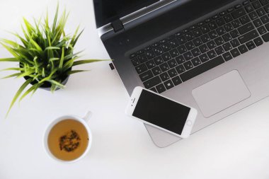    busness Maliye meslek