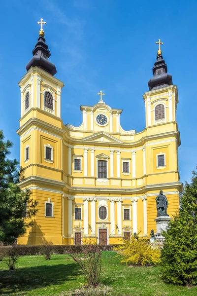 Baroque Basilica in Oradea - Romania — ストック写真