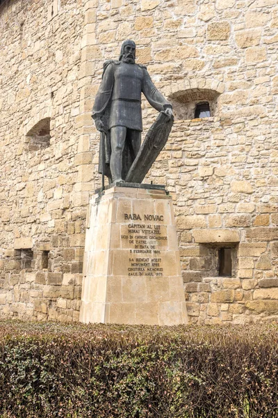 Estatua de Baba Novac en Cluj - Ciudad de Napoca —  Fotos de Stock