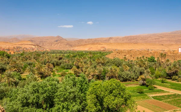 Widok na Tinghir Oasis (Tinerhir) w Maroko — Zdjęcie stockowe