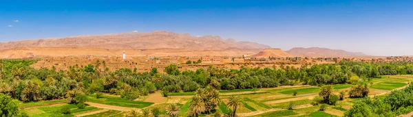 Vista panorámica del Oasis Tinghir (Tinerhir) con montañas del Pequeño Atlas - Marruecos — Foto de Stock