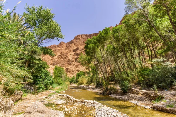 Vue sur la rivière Todra dans les gorges de Todgha, Maroc — Photo