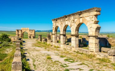 Antik kentin Volubilis - Fas harabeye sokak Cordo Maximus adlı görüntülemek