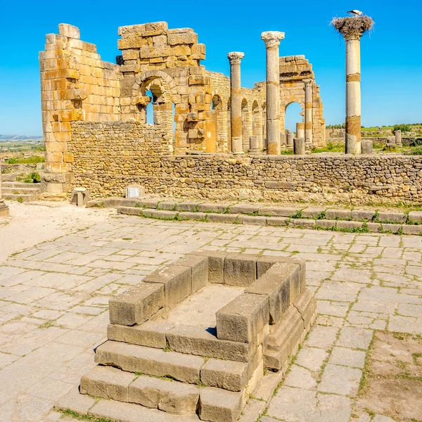 Antik kentin Volubilis - Fas Bazilikası kalıntıları — Stok fotoğraf