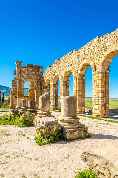 Antik kentin Volubilis - Fas Bazilikası kalıntıları — Stok fotoğraf