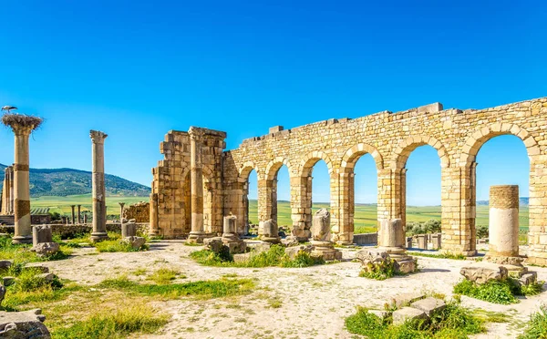 Antik kentin Volubilis - Fas Bazilikası kalıntıları — Stok fotoğraf