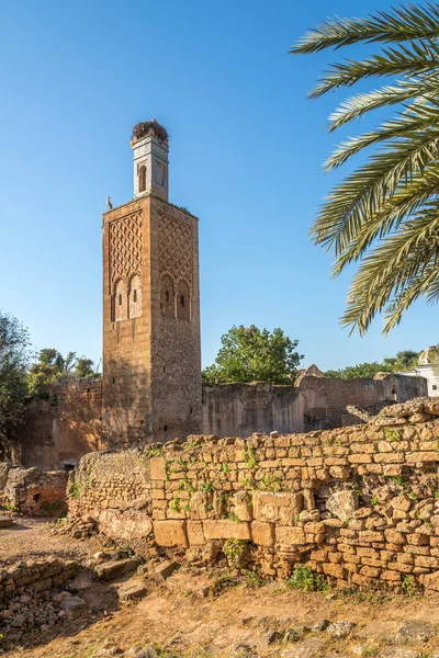 Minaret i antika Chellah (Sala Colonia) i Rabat, Marocko — Stockfoto