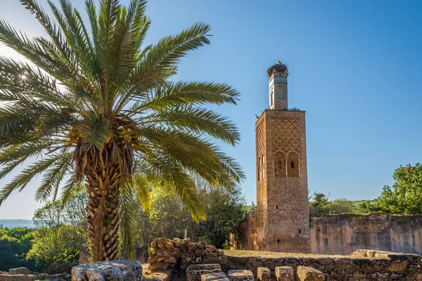 Chellah (Sala Colonia) - Minaret of mosque ruins - Rabat ,Morocco — Stock Photo, Image