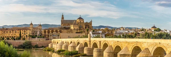 Vista panorámica de la Mezquita-Catedral con puente romano en Córdoba, España —  Fotos de Stock