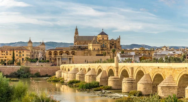 Pohled na mešita - katedrála s Starý římský most v Cordoba, Španělsko — Stock fotografie