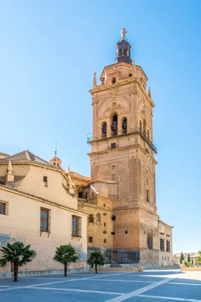 Вид на колокольню Кафедрального собора в Гвадиксе, Испания — стоковое фото