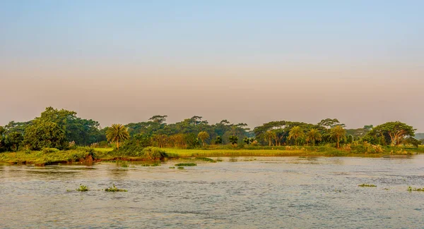 Sundarbans, Bangladeş 'teki Katcha Nehri' nin yeşil kıyısında sabah manzarası. — Stok fotoğraf