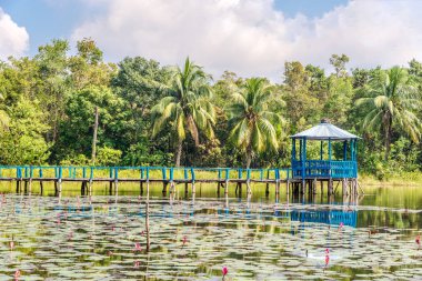 Sundarbans Ulusal Parkı 'ndaki Harbaria Gölü' ne bakın - Bangladeş