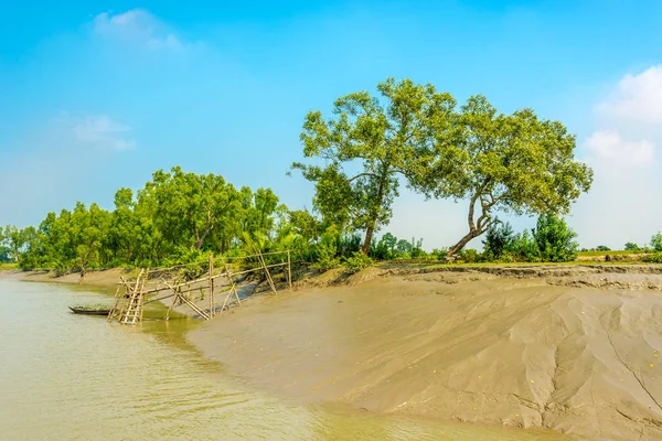 Sur la rive de la rivière Pashur dans le parc national Sundarbans - Bangladesh — Photo