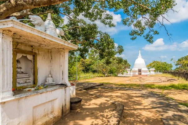 Άποψη Στη Στούπα Της Αβουκάνα Στη Βόρεια Κεντρική Σρι Λάνκα — Φωτογραφία Αρχείου