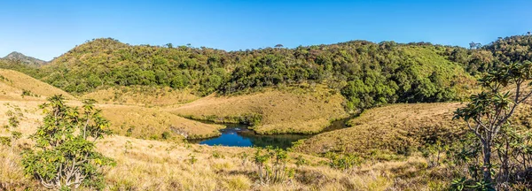 Panoramik Manzara Horton Plains Ulusal Parkı Nda Büyüleyici Bir Doğa — Stok fotoğraf