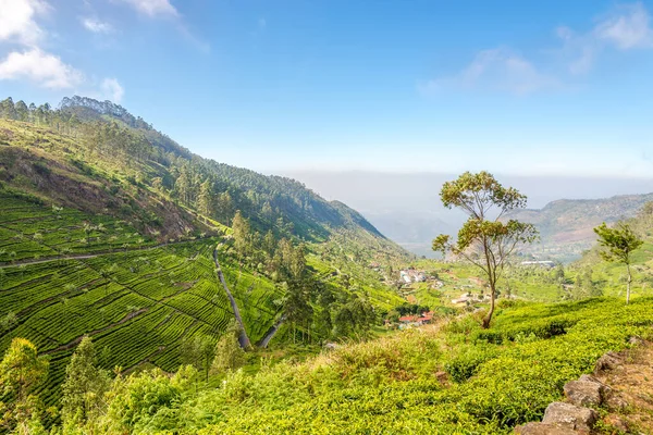 Вид Долину Дамбетенна Шрі Ланку — стокове фото