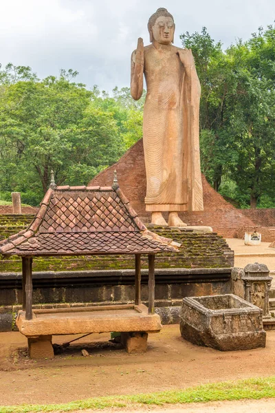 Vista Estatua Buda Maligawila Figura Pie Del Buda Sri Lanka — Foto de Stock