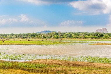 Yala Ulusal Parkı 'nda Akasa Chaithya Kayası' nın doğasına bakın - Sri Lanka