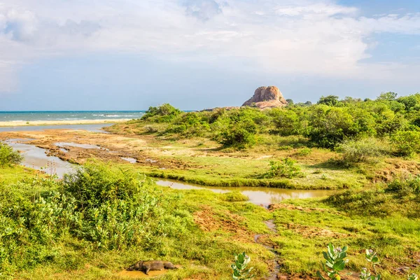 Vista Padikema Rock Parque Nacional Yala Sri Lanka — Fotografia de Stock