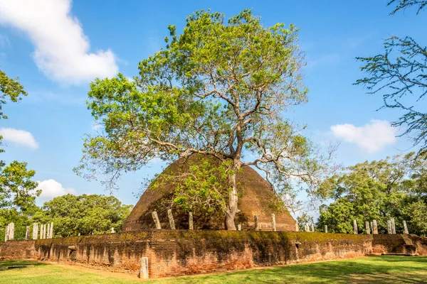 Widok Świątynię Buddyjską Sandagiri Tissamaharama Sri Lanka — Zdjęcie stockowe