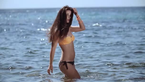 Hermosa Chica Tiene Descanso Mar — Vídeo de stock